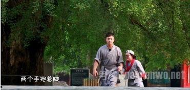 遇见少林有功夫,遇见少林，探寻中华武术精髓